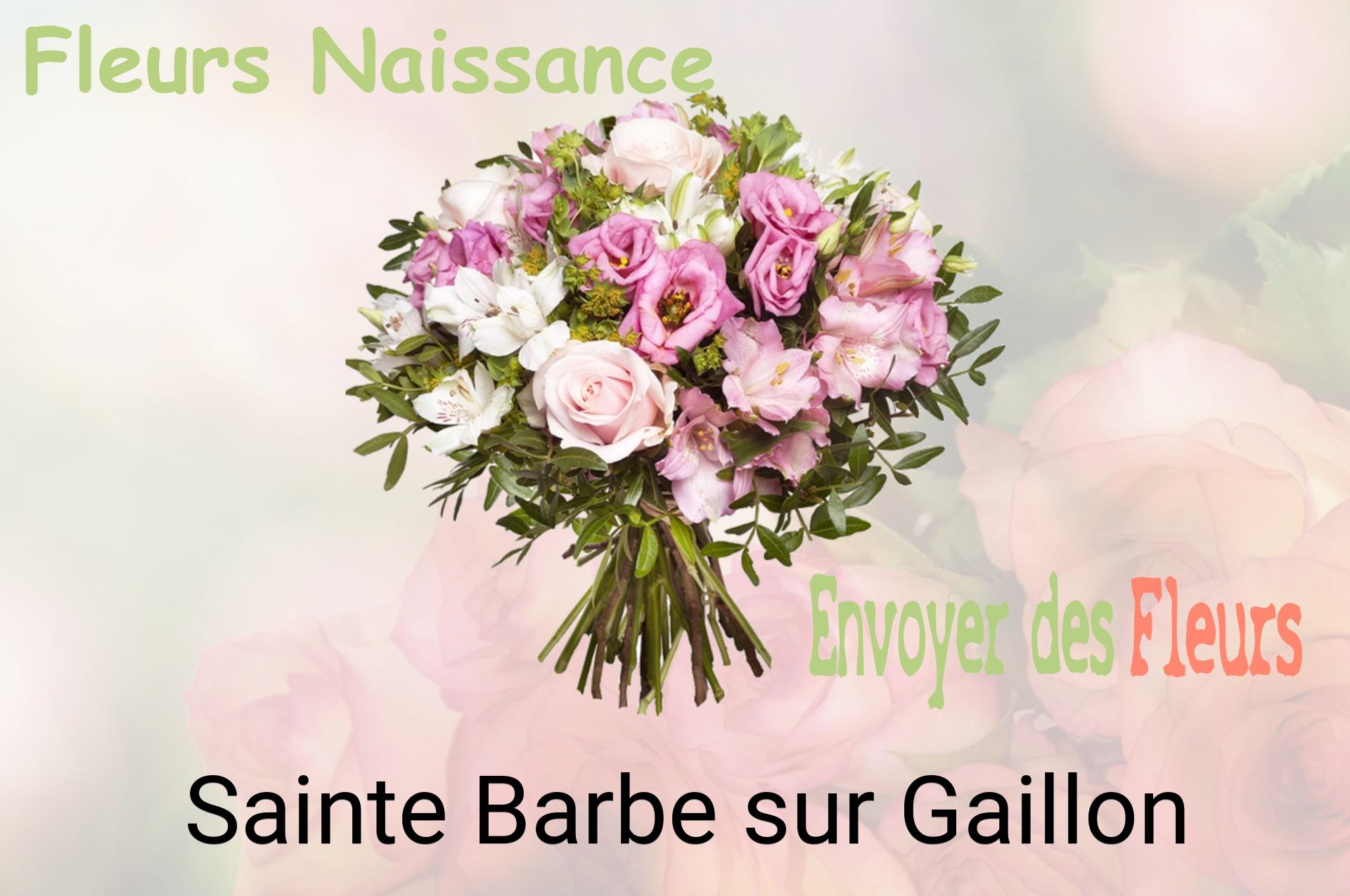Bouquet de fleurs de naissance livré à Sainte-Barbe-sur-Gaillon